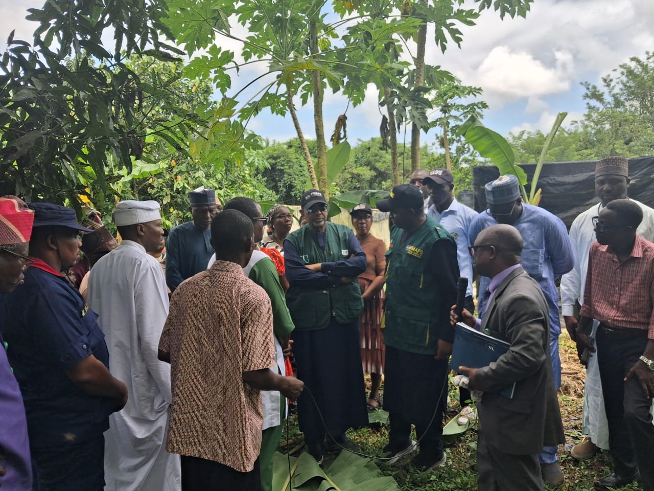 FG Rolls Out One Million Climate-Smart Cocoa Seedlings to Revive Cocoa ...